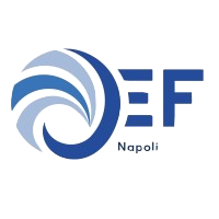 Jef Napoli: junior enterprise