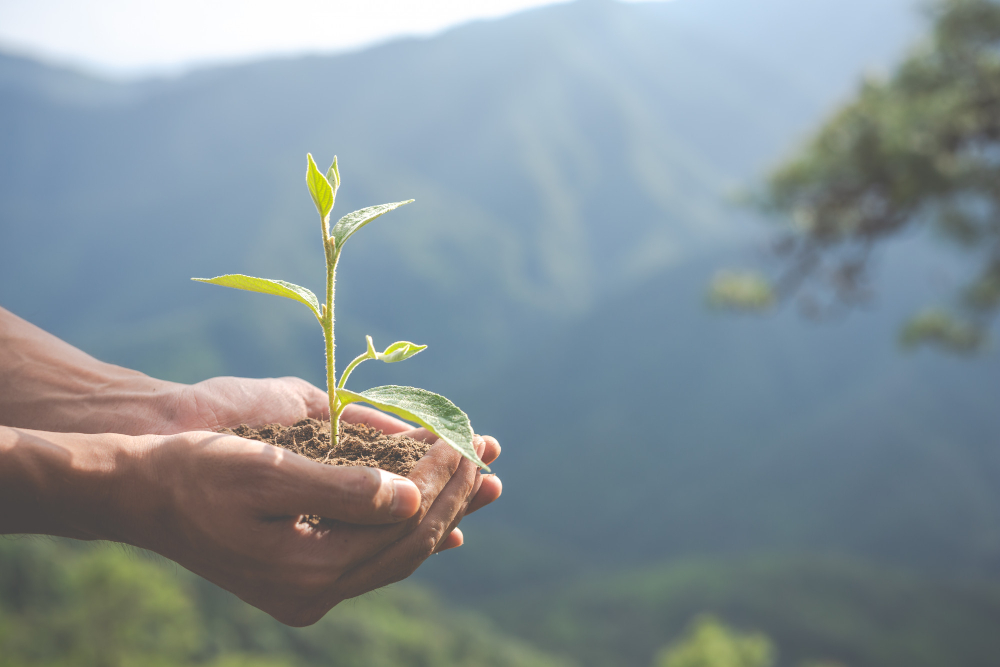 responsabilità sociale e ambientale
