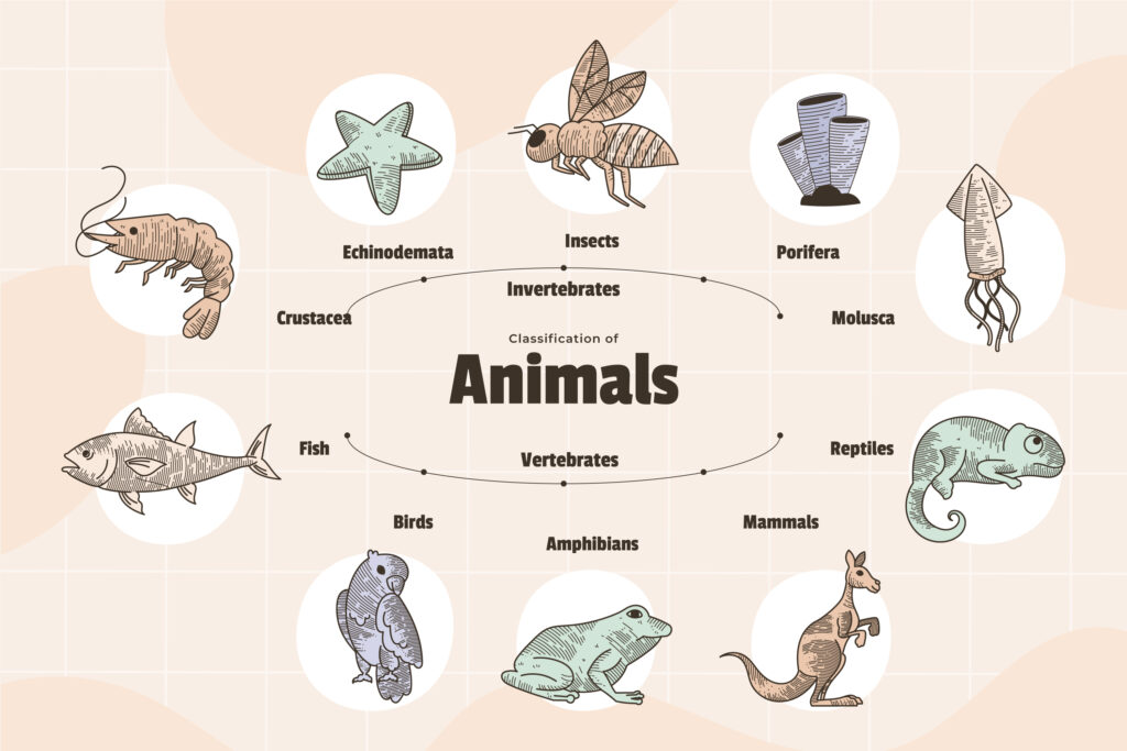 Facoltà per lavorare con gli animali - Thesis 4u